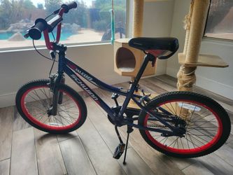 Kids Schwinn Falcon Bike