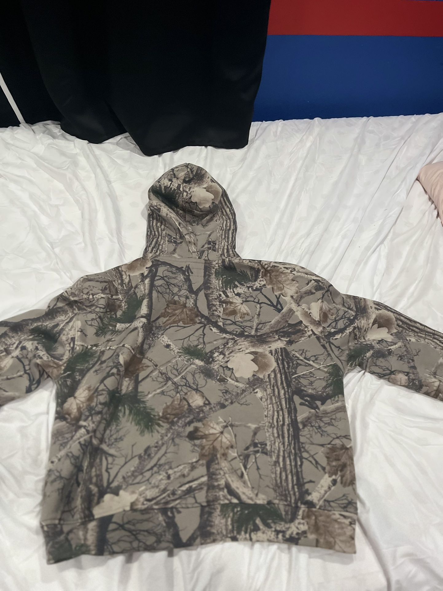 Hollister,small,