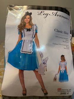 Alice Costume