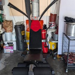 Bowflex Blaze