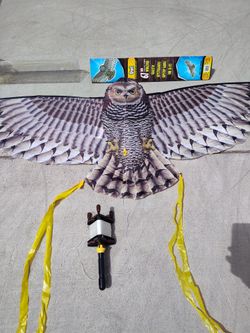 Kite Owl, 67"