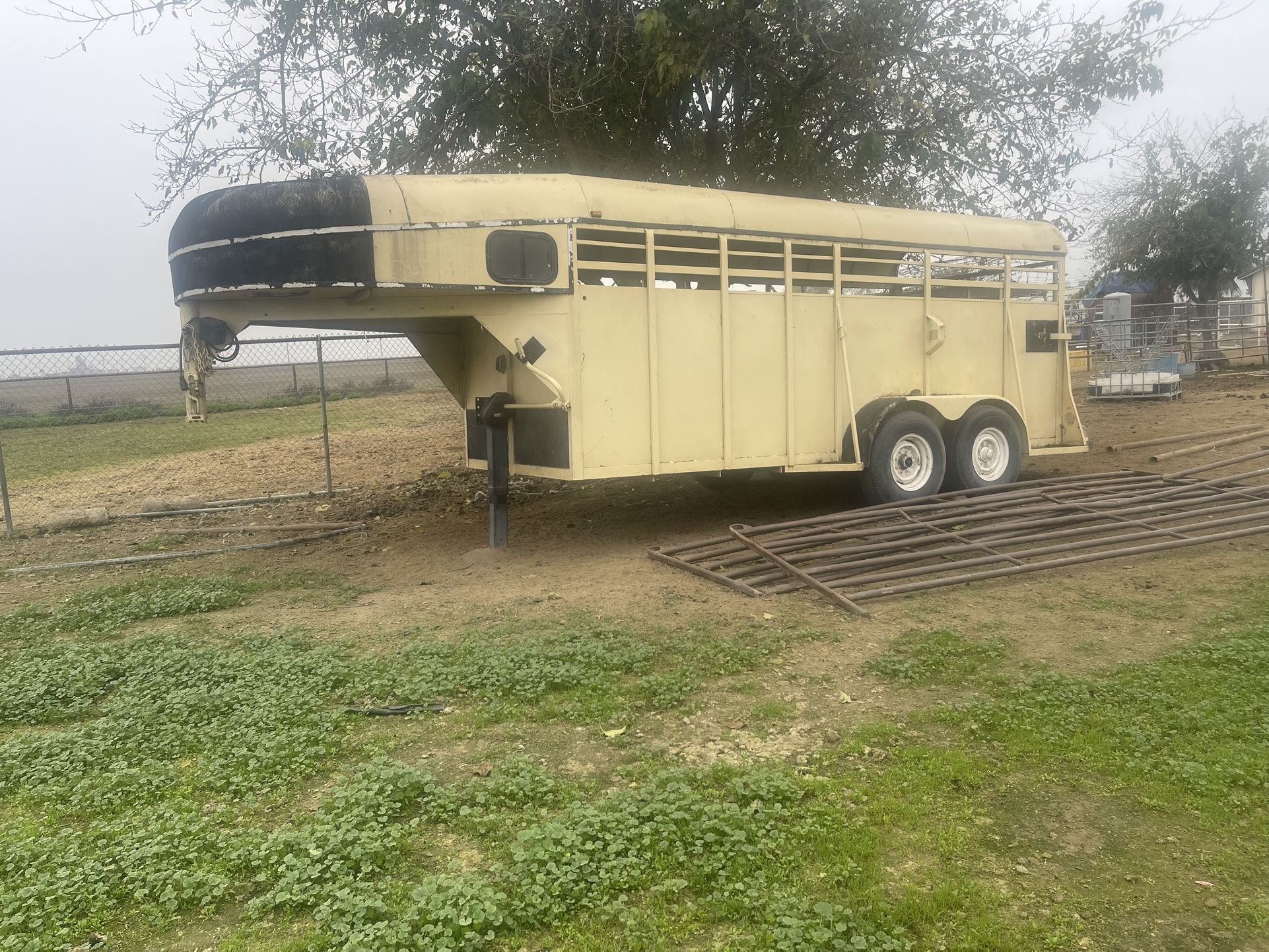 Horse Trailer
