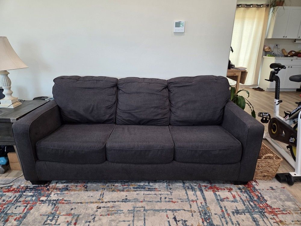 Sleeper Sofa/Couch