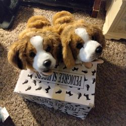 Plush Dog Slippers 