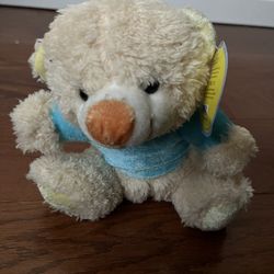 Coast to Coast entertainment very soft teddy bear 6.5 inches tall