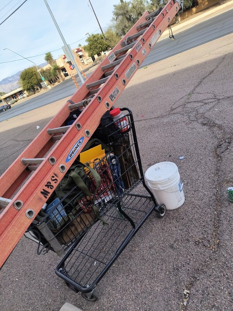 Ladder