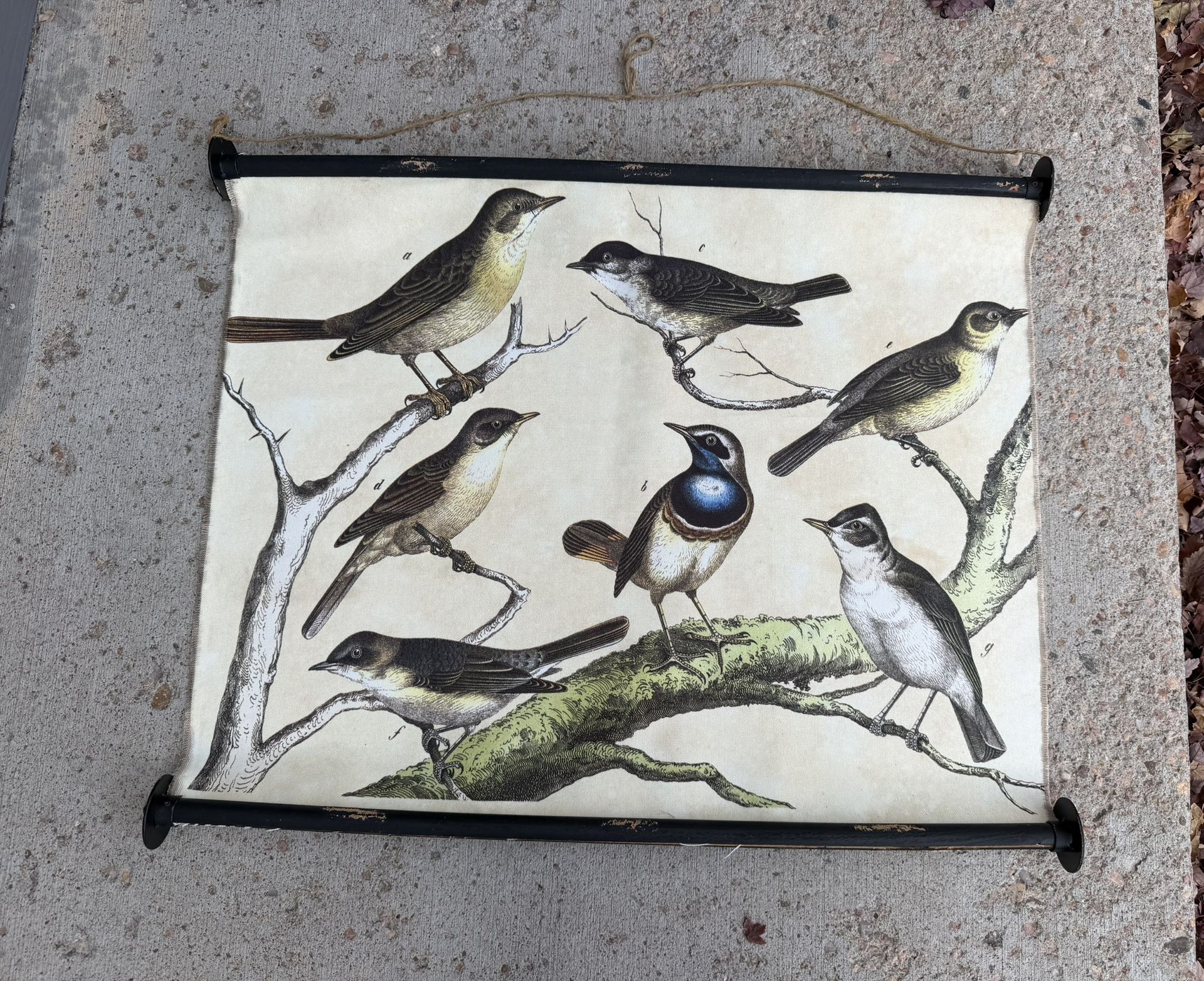 Bird Wall Decor
