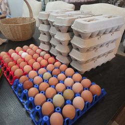 Fresh Eggs / Huevos Frescos