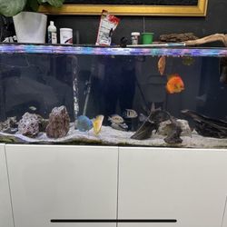 Acrylic Aquarium Fish Tank 175 Gallon