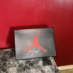 2015 Air Jordan 4 Retro 30th Anniversary 