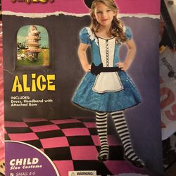 Child Alice in wonderland costume
