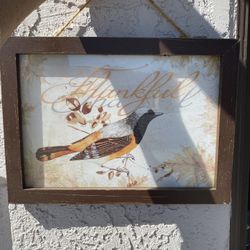 Thankful  Bird Picture