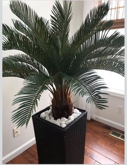 AMERIQUE 3 Feet Cycas Revoluta Sago Palm Tree Artificial Plant with Nursery Pot,