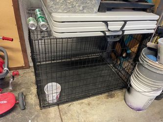 Kennel