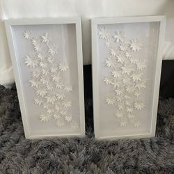 White Flower Pictures (2)