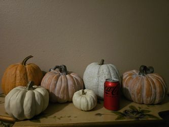 Thanksgiving ornaments