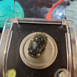 Tekatka Moldavite It's natural glass that forms from a meteorite impact