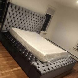 Pandora Silver Gray Velvet Queen Platform Bed w/ Storage