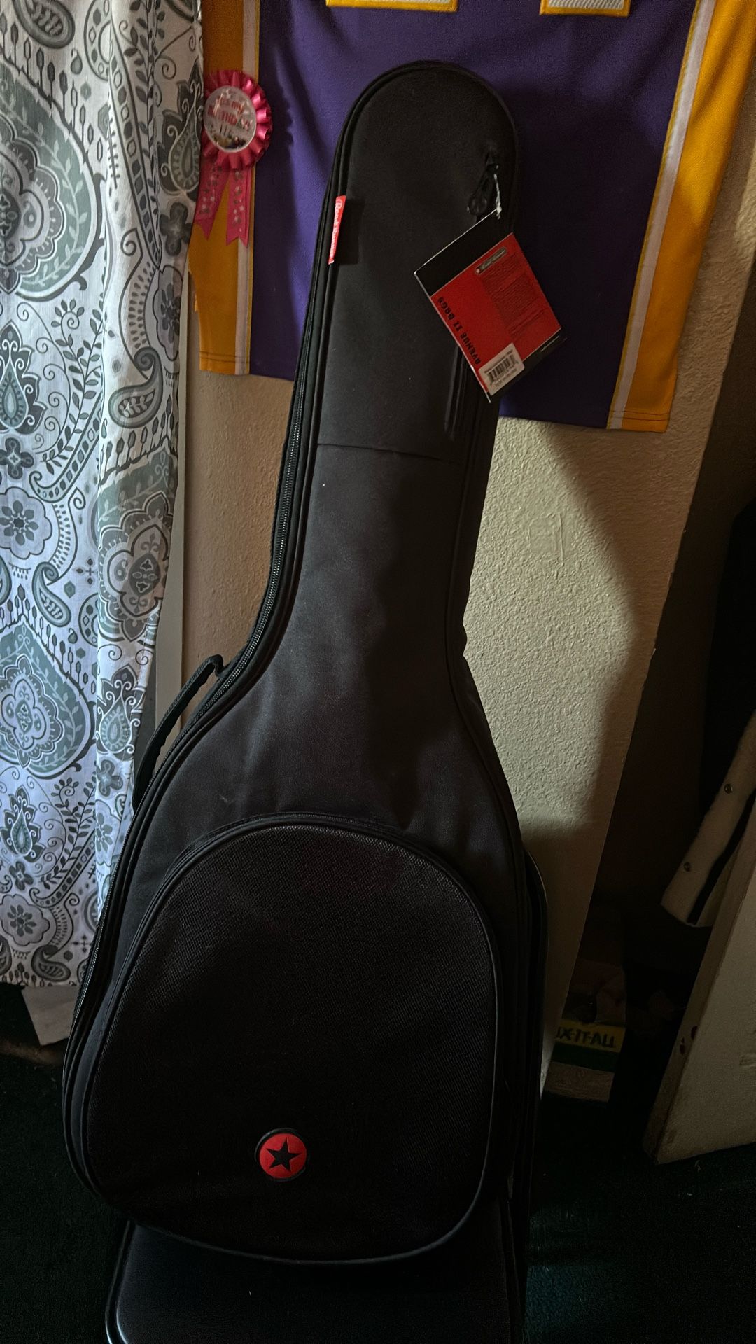 Audster acoustic guitar With Brand New Guitar Case