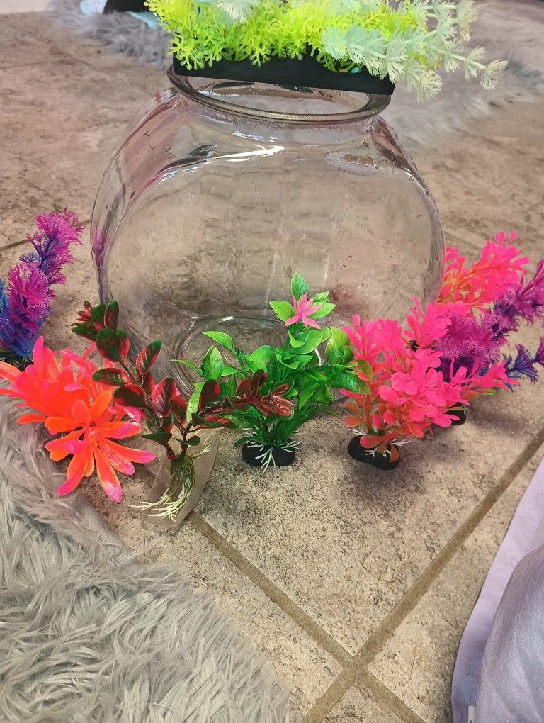 Fish Bowl & False Plants