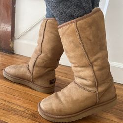 Ugg Brown Boots