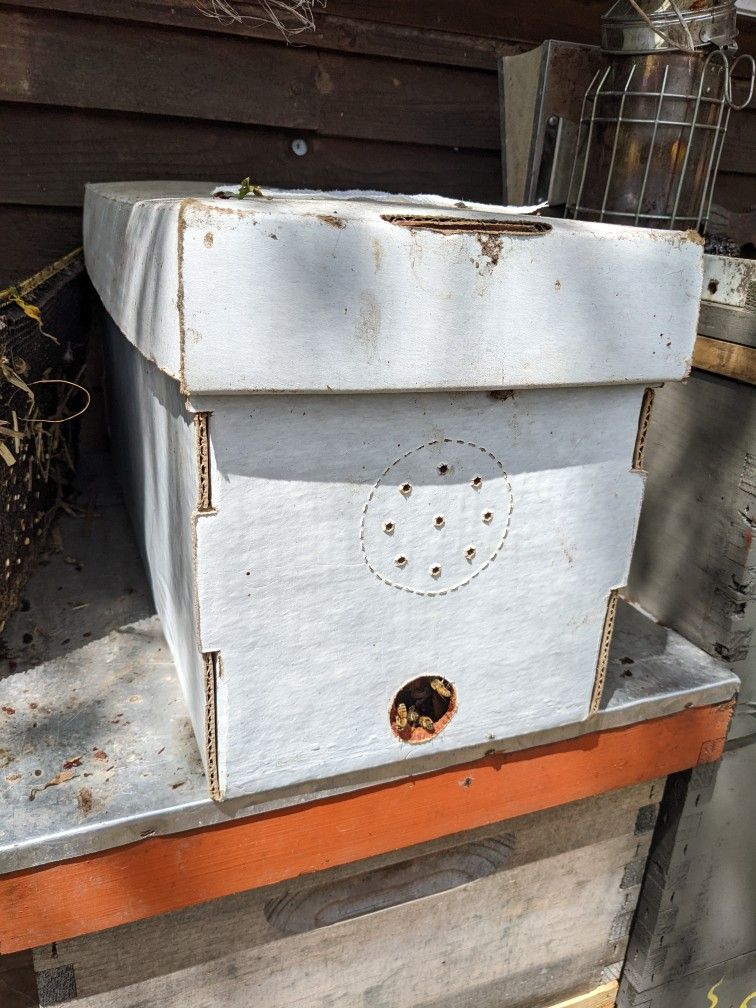 Honeybee Hive