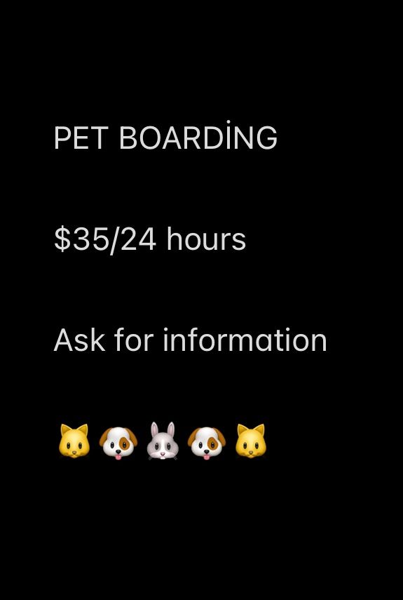 PET BOARDİNG ELKRİDGE/SEVERN