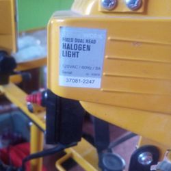 Luminary Work Fixed Dual Head Halogen Light
