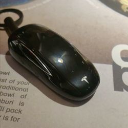 Tesla Model S X keyfob 