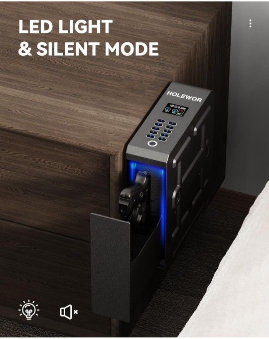 HOLEWOR Fingerprint Security Safe