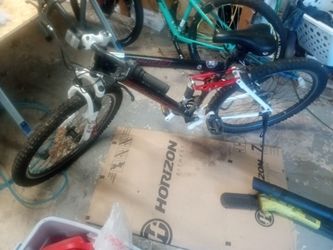 Genesis Mountain Bike