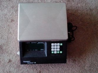 Toledo Sentinel III Digital Weighing System