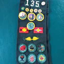 Brownie Troop Number, Pin, Girl Scout Pins, Patches, And Sash