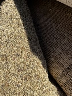 Beige Multicolored Carpet Roll