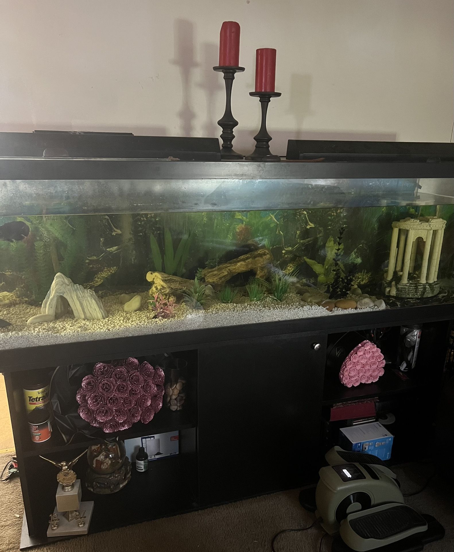 175 Gallon Fish Tank
