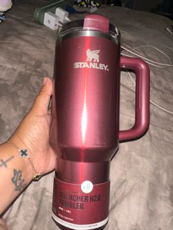 Stanley elf collaboration 40oz
