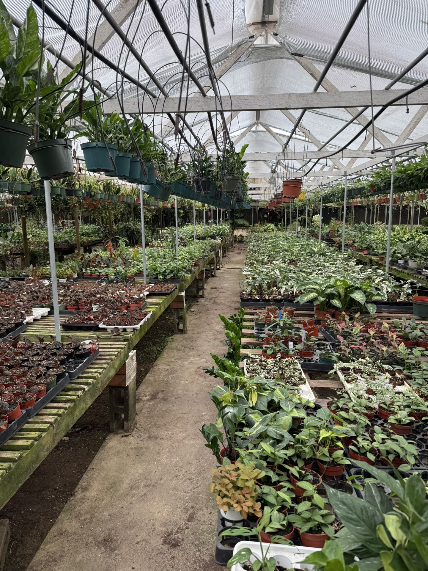 Riverside Greenhouse