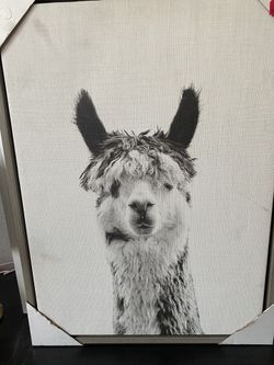 Llama frame