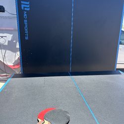 ping Pong table