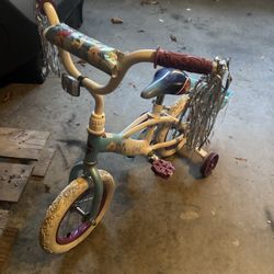 Toddler Frozen Bike