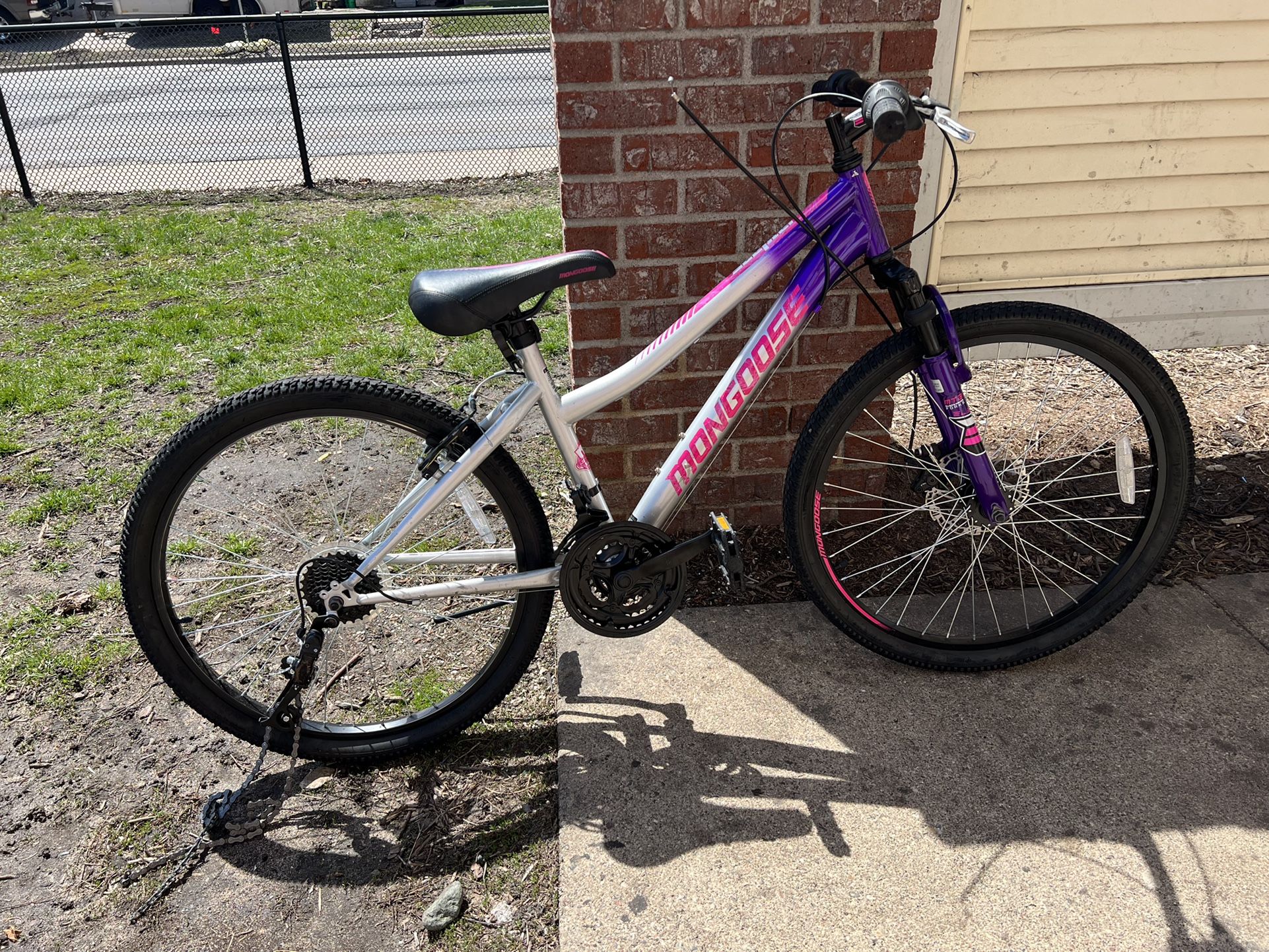 Adult Bicycle