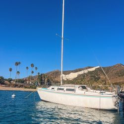 Sailboat - 1981 Catalina 25