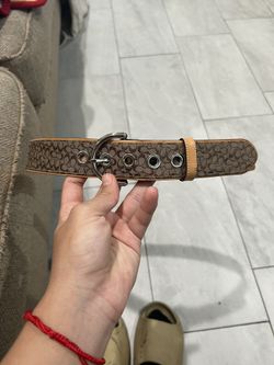 Coach Belt