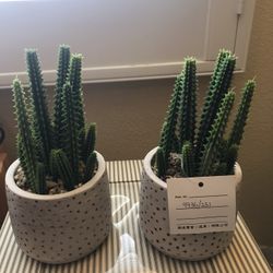 OU06003 Two Artificial Succulents In Light Grey Ceramic Pots