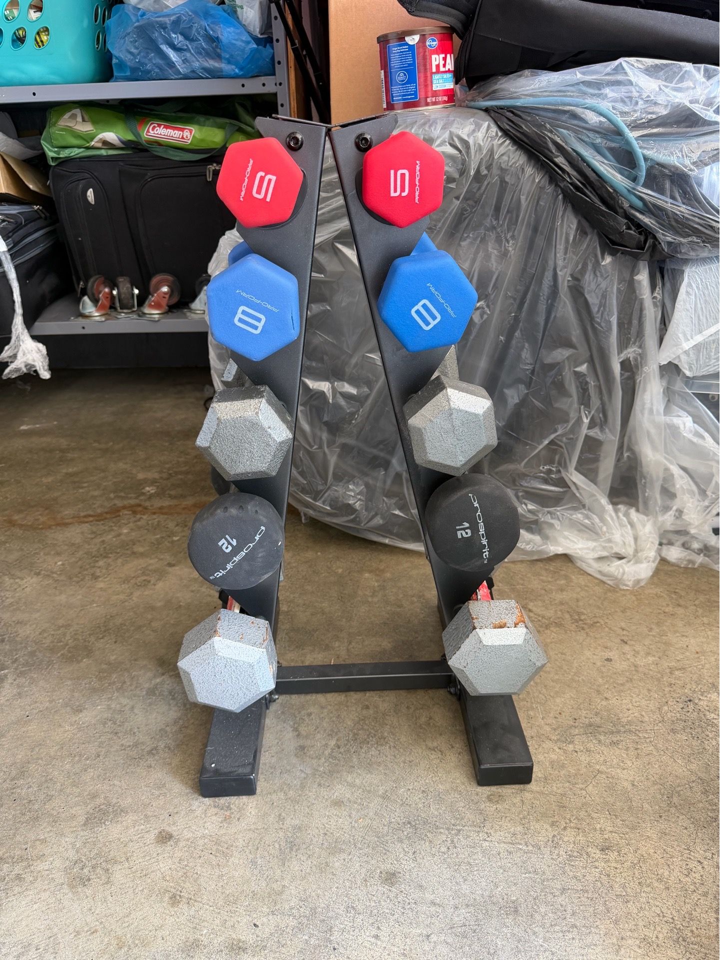 Dumbbells set with rack