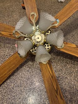 Ceiling fan
