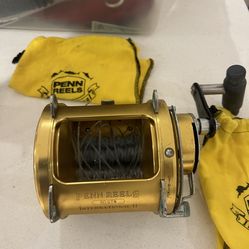 Penn 80w reel stw International