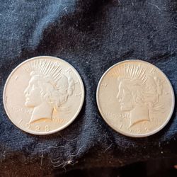 Peace Dollars 