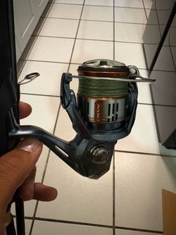 Shimano & Berrypro Surf spinning combo