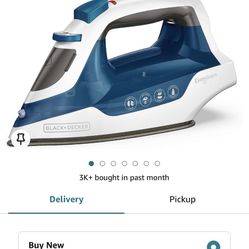 Easy Steam Compact Iron 